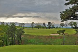 Ozarks National 13th Trees